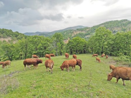 ypaithros-chora-efimerida-gia-tin-agrotiki-anaptyxi-kai-oikonomia-377816