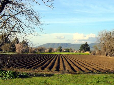 kanonika-oi-epidotiseis-ti-m-pebti-gia-agrotemachia-me-provlimata-sto-monitoring-ti-anaferei-tropopoiitiki-apofasi-376559