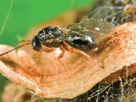 ypaithros-chora-efimerida-gia-tin-agrotiki-anaptyxi-kai-oikonomia-378638