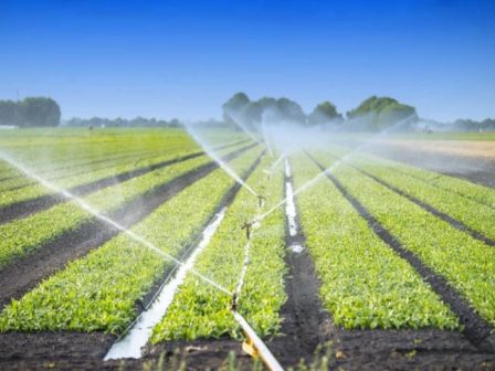 ypaithros-chora-efimerida-gia-tin-agrotiki-anaptyxi-kai-oikonomia-380440