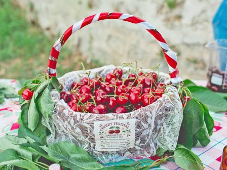edessa-cherry-festival-stin-poli-ton-neron-to-kerasi-ginetai-giorti-sto-pio-glyko-festival-tou-kalokairiou-380622