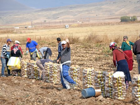 ergates-gis-to-megalo-agkathi-stin-agrotiki-paragogi-380364