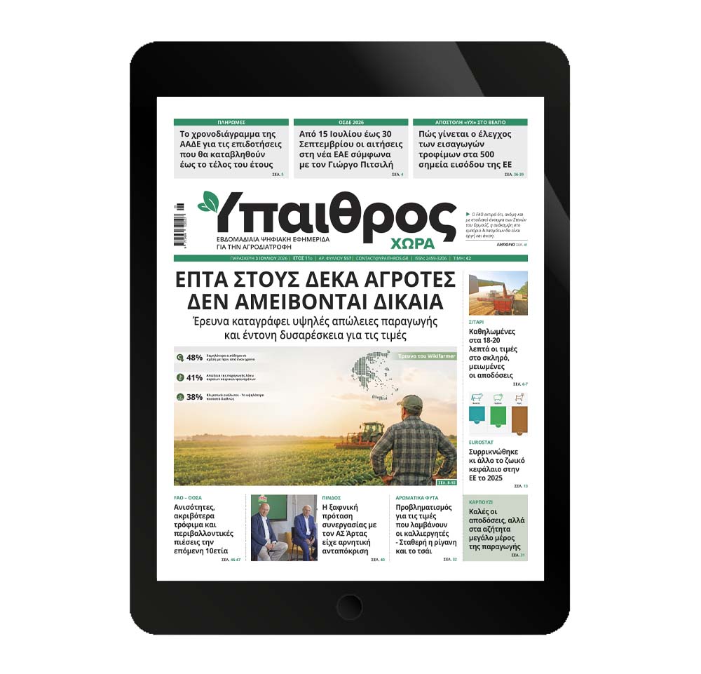 557-paraskevi-3-iouliou-2026-381937
