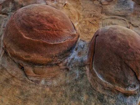 ypaithros-chora-efimerida-gia-tin-agrotiki-anaptyxi-kai-oikonomia-382659