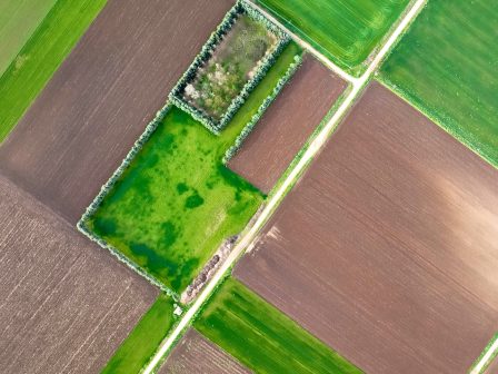 elstat-syrriknothike-i-elliniki-agrotiki-oikonomia-to-2024-382799