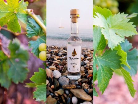 trigonaki-ena-tsipouro-me-psychi-moschatou-apo-ton-synetairismo-samou-382045