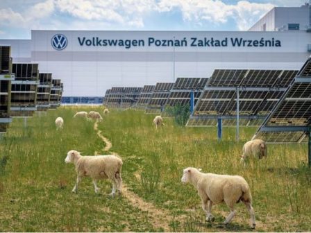 i-volkswagen-perikoptei-31-000-theseis-ergasias-kai-proslamvanei-provata-gia-syntirisi-se-fotovoltaikous-stathmous-tis-382180