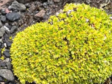 ypaithros-chora-efimerida-gia-tin-agrotiki-anaptyxi-kai-oikonomia-384105