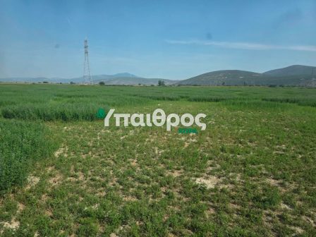 vasilis-kokkalis-oi-agrotes-den-boroun-na-perimenoun-ti-deth-gia-na-plirothoun-384212