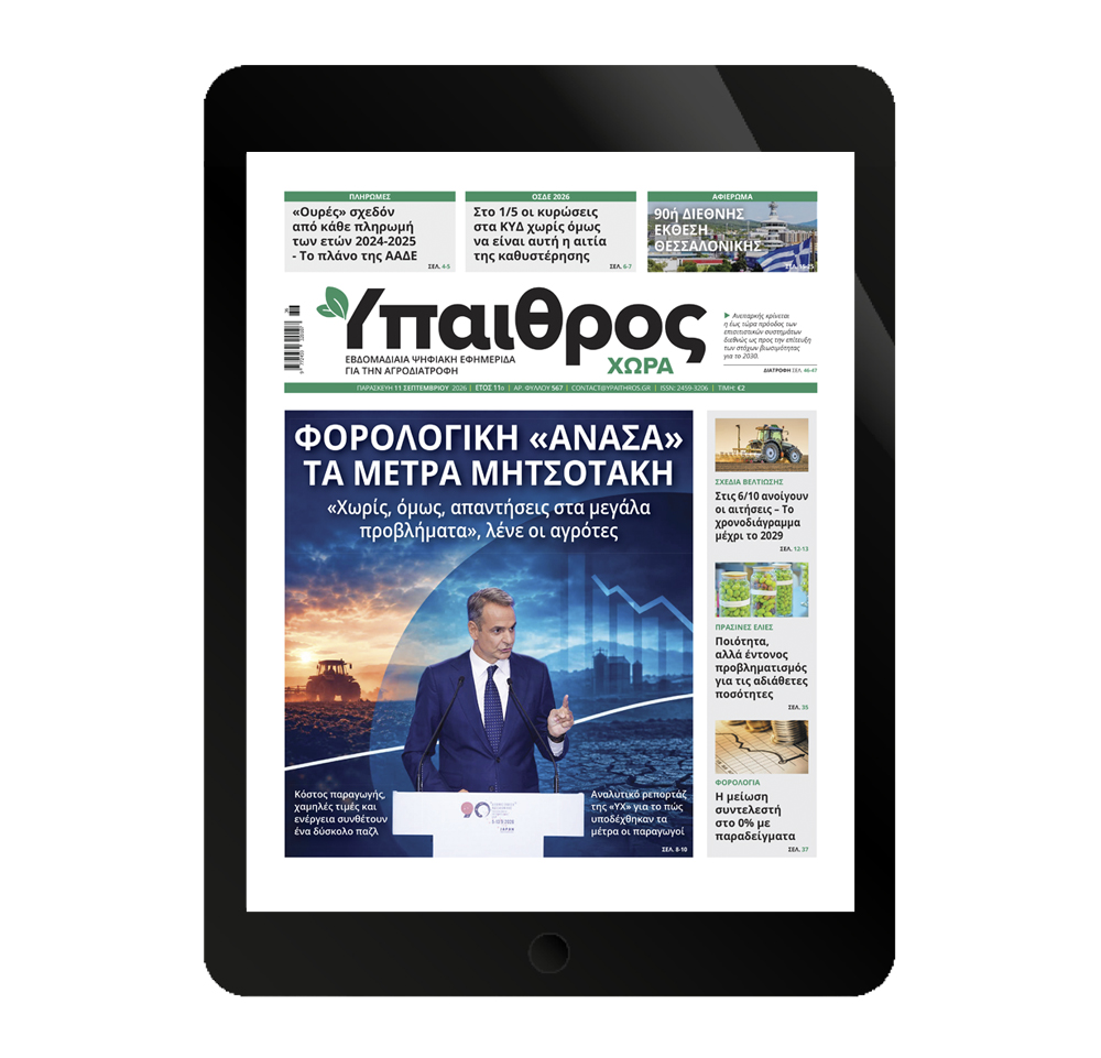 567-paraskevi-11-septemvriou-2026-385390