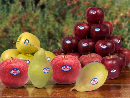 a-s-zagoras-piliou-sta-rafia-tis-manavikis-i-nea-sodeia-proionton-zagorin-385751