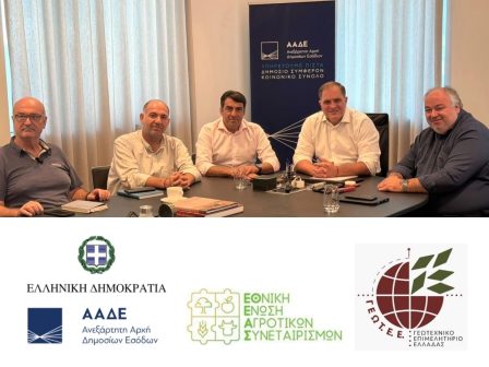 aade-epimerous-zitimata-pou-entopizontai-stin-efarmogi-myagro-katagrafontai-kai-antimetopizontai-kathimerina-385827