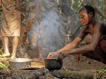world-diet-initiative-pagkosmia-aspida-gia-ti-diasosi-ton-paradosiakon-diatrofon-prin-chathei-i-gnosi-geneon-384877