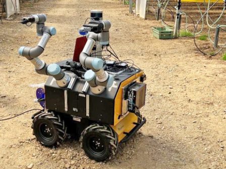 versatile-robotx-pano-apo-117-ekat-evro-gia-robot-pou-analamvanoun-ti-sygkomidi-kai-alles-ergasies-sto-chorafi-385955