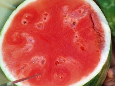 ypaithros-chora-efimerida-gia-tin-agrotiki-anaptyxi-kai-oikonomia-385195
