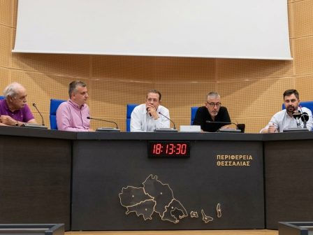 kyd-thessalias-gia-platforma-myagro-choris-asfalistirio-symvolaio-elga-oi-paragogoi-385647