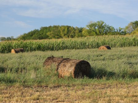 ypaithros-chora-efimerida-gia-tin-agrotiki-anaptyxi-kai-oikonomia-385312