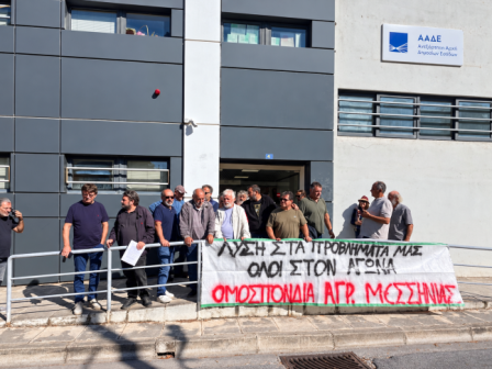 kalamata-parastasi-diamartyrias-agroton-stin-aade-386891