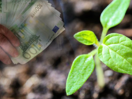 Σήμερα οι πληρωμές για Βιολογικά, Κομφούζιο, Σπάνιες Φυλές, Νιτρορύπανση, Ευζωία Χοίρων, Δασώσεις και Εξισωτική