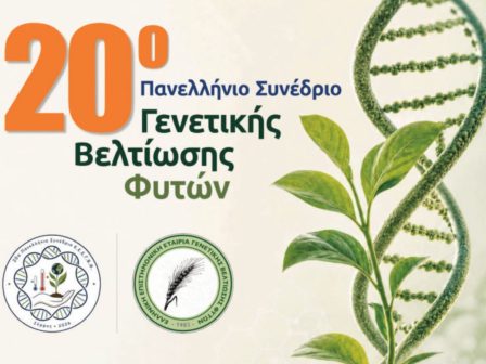 ypaithros-chora-efimerida-gia-tin-agrotiki-anaptyxi-kai-oikonomia-386600