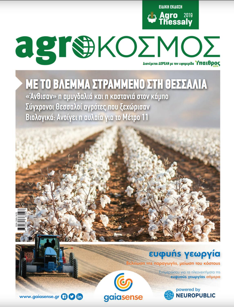 agrokosmos-fevrouarios-2019-3690