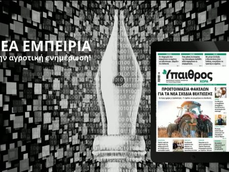 -4295
